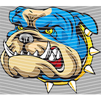 Cartoons and other-CO 1342